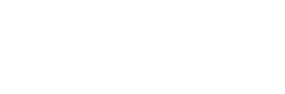 Logo Blanc ANAS 2025